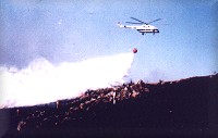 Helicopter dumping water on a forest fire