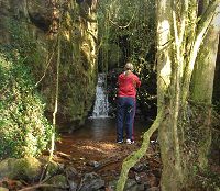 Photo: Misty Mountain