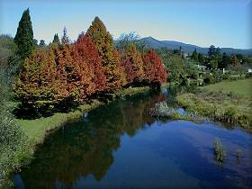 Autumn reflections on the Sabie river